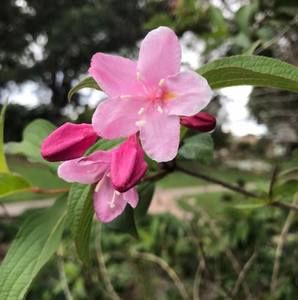 Meet your Posher, Bonita